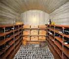 ТУТГУМ БАКТЕРИНОЛ TUTGUM - CELLARS - BACTERINOL